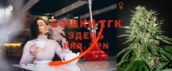 соль ск Алексин