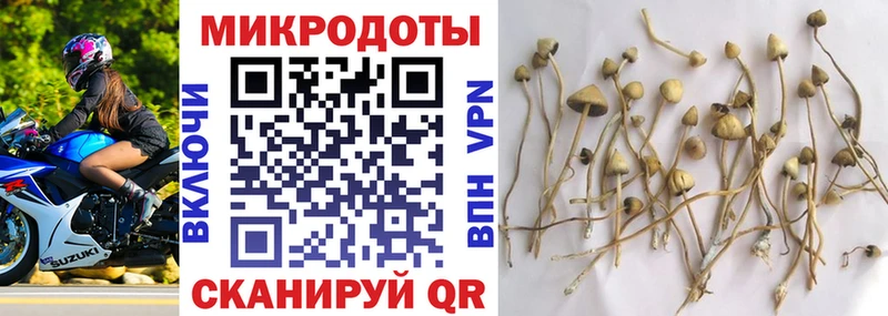 Галлюциногенные грибы мицелий  Себеж 